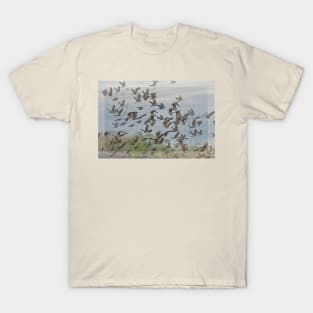 Scattering of Blackbirds T-Shirt